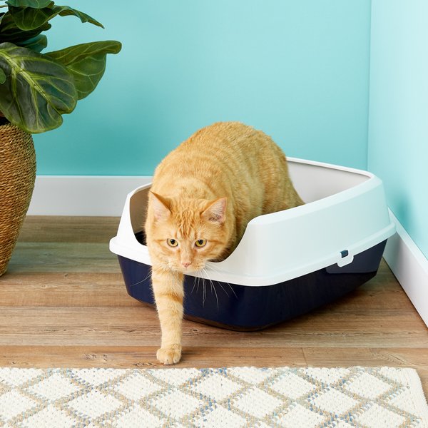 Frisco Open Top Cat Litter Box With Rim, Navy, Large 19-in slide 1 of 3