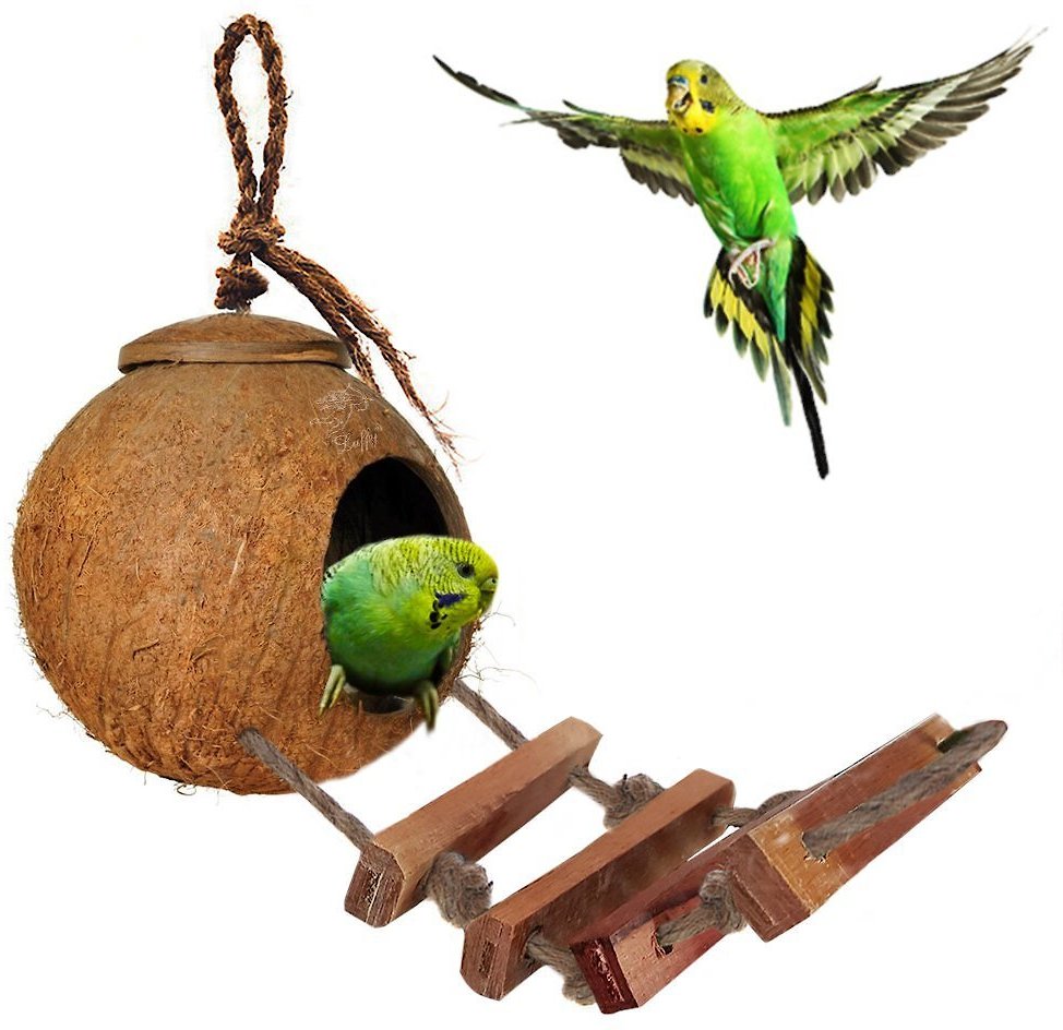 Coconut Bird Shell Breeding Nest for Parrot Parakeet Lovebird Finch Canary Natural Coconut Fiber Hanging Birdhouse Cage Tfwadmx Coconut Hide with Ladder 2 Pcs