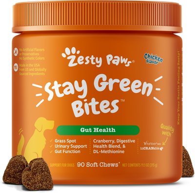 Zesty Paws Stay Green Bites Chicken Flavored Soft Chews Digestive Supplement for Dogs, slide 1 of 1
