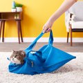 Cat-in-the-bag E-Z-Zip Cat Carrier Bag, Cobalt, Large