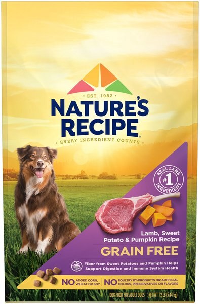 Nature's Recipe Grain-Free Lamb, Sweet Potato & Pumpkin Recipe Dry Dog Food, 12-lb bag slide 1 of 9