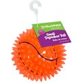 Gnawsome Squeak & Light LED Basketball Dog Toy, Color Varies, Small
