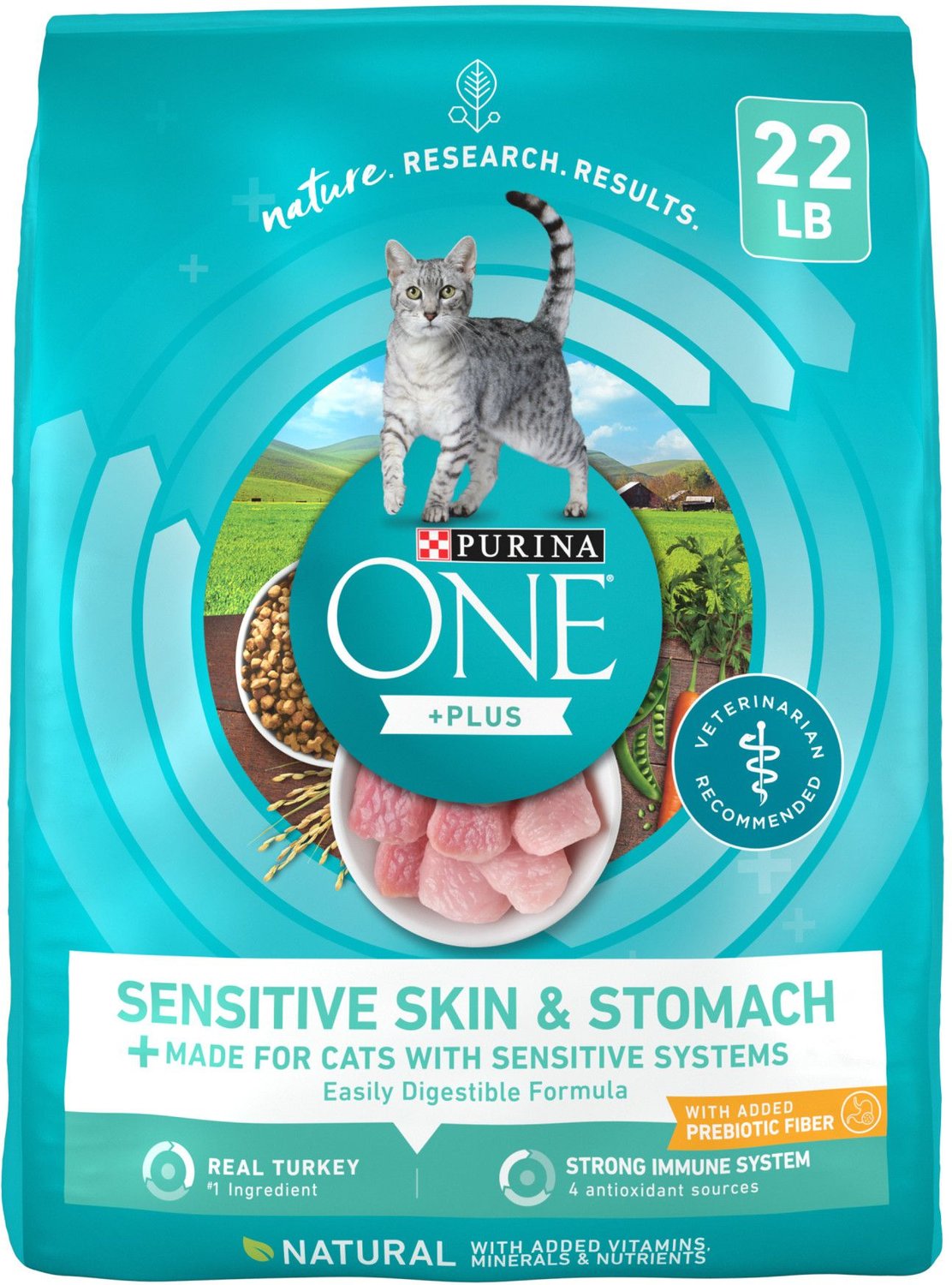 PURINA ONE Sensitive Skin & Stomach Dry Cat Food, 22-lb bag - Chewy.com