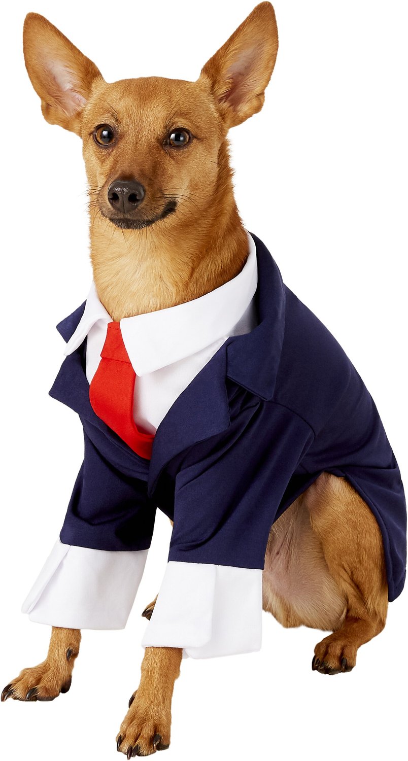Rubie's Costume Company Business Suit Dog & Cat Costume, Small - Chewy.com
