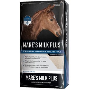 Buckeye Nutrition Mare's Milk Plus Milk Replacer Powder Horse Supplement, 40-lb bag
