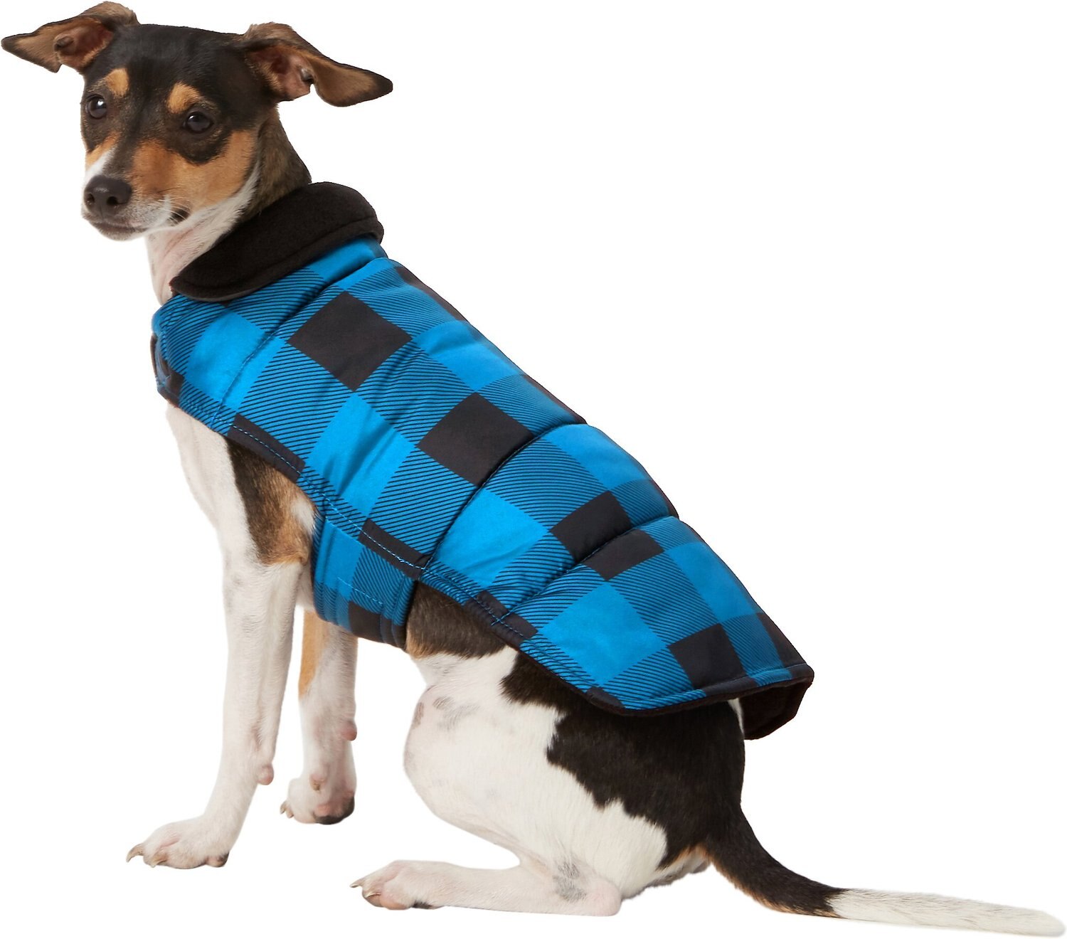 FRISCO Reversible Dog & Cat Plaid Puffer Coat, Blue, Small - Chewy.com