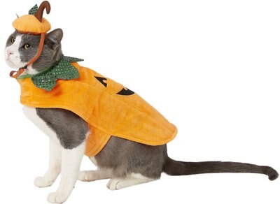 Frisco Pumpkin Dog & Cat Costume, slide 1 of 1