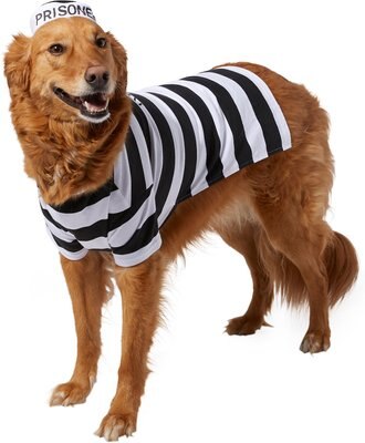 Frisco Prisoner Dog & Cat Costume, slide 1 of 1
