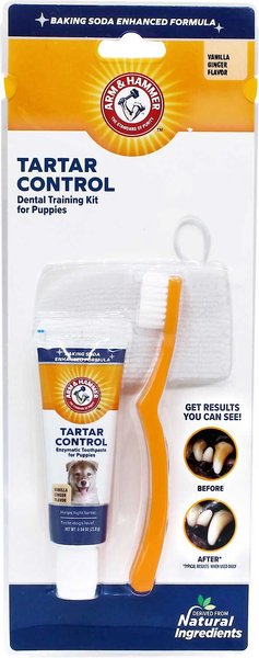 Arm & Hammer Tartar Control Vanilla-Ginger Flavored Enzymatic Puppy Dental Training Kit slide 1 of 7