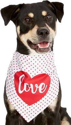 Frisco Dog & Cat Love Heart Bandana, slide 1 of 1