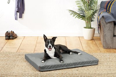 Frisco Rectangular Pillow Dog Bed w/Removable Cover, Dark Gray, slide 1 of 1