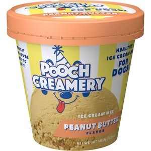 Best Dog Ice Cream