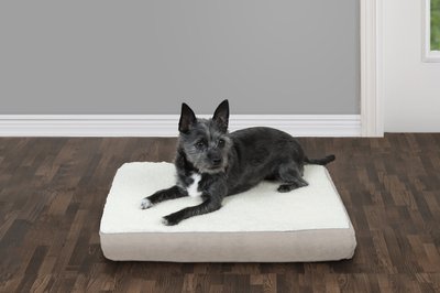 FurHaven Faux Sheepskin & Suede Deluxe Orthopedic Cat & Dog Bed w/Removable Cover, slide 1 of 1