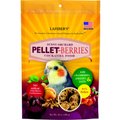 Lafeber Pellet-Berries Sunny Orchard Bird Food, 10-oz bag