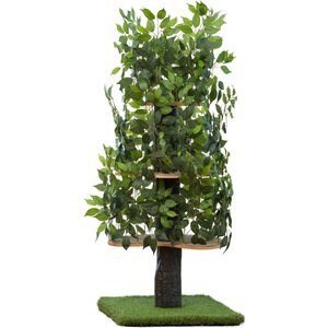 On2Pets 60-in Large Square Modern Cat Tree, Green
