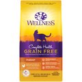 Wellness Complete Health Grain-Free Indoor Deboned Chicken Recipe Dry Cat Food, 5.5-lb bag