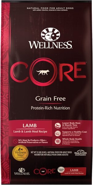 Wellness CORE Grain-Free Lamb Recipe Dry Dog Food, 22-lb bag slide 1 of 8