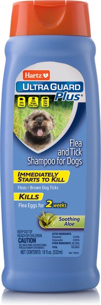 Hartz UltraGuard Plus Flea & Tick Dog Shampoo with Aloe, 18-oz bottle slide 1 of 8