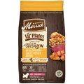 Merrick Lil' Plates Grain Free Small Breed Dry Dog Food Real Chicken, Sweet Potatoes + Peas With Raw Bites Recipe, 10-lb bag