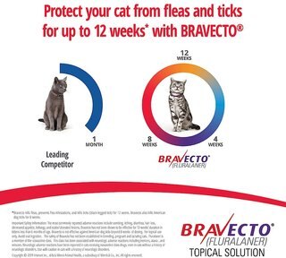 Bravecto Topical Solution For Cats 6 2 13 8 Lbs Blue Box 1 Dose 12 Wks Supply Chewy Com