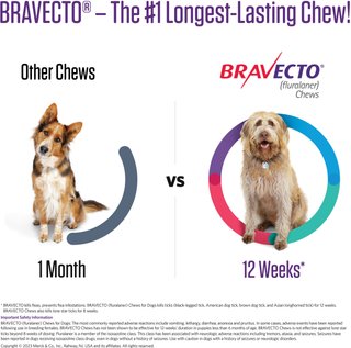 bravecto all in one