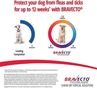 chewy bravecto for dogs