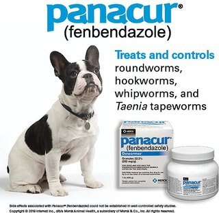 panacur heartworm