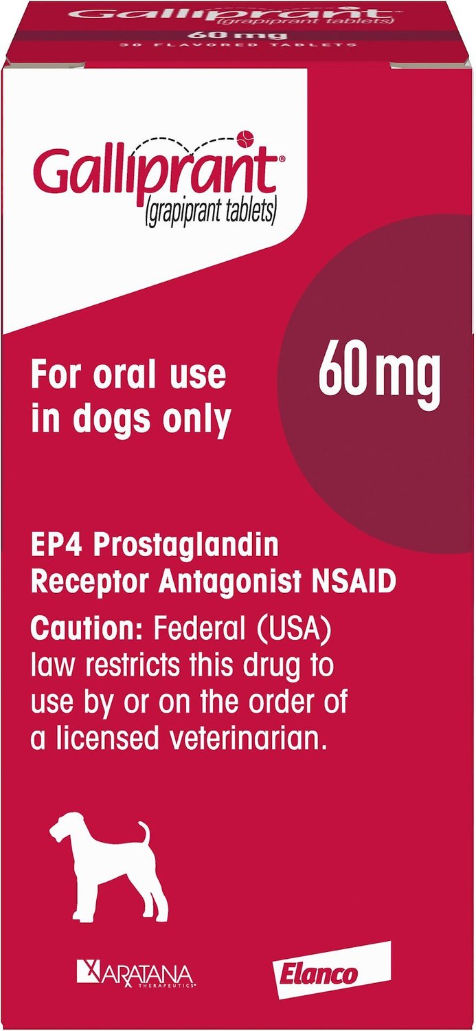 galliprant-tablets-for-dogs-60-mg-1-tablet-chewy