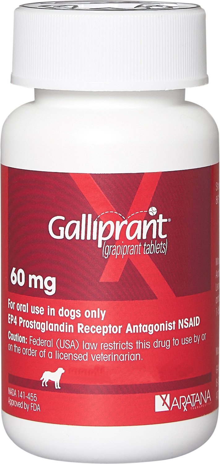 galliprant-tablets-for-dogs-60-mg-1-tablet-chewy
