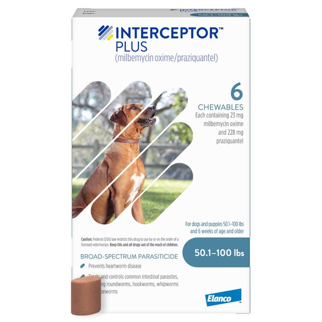 interceptor plus chewable tablets for dogs