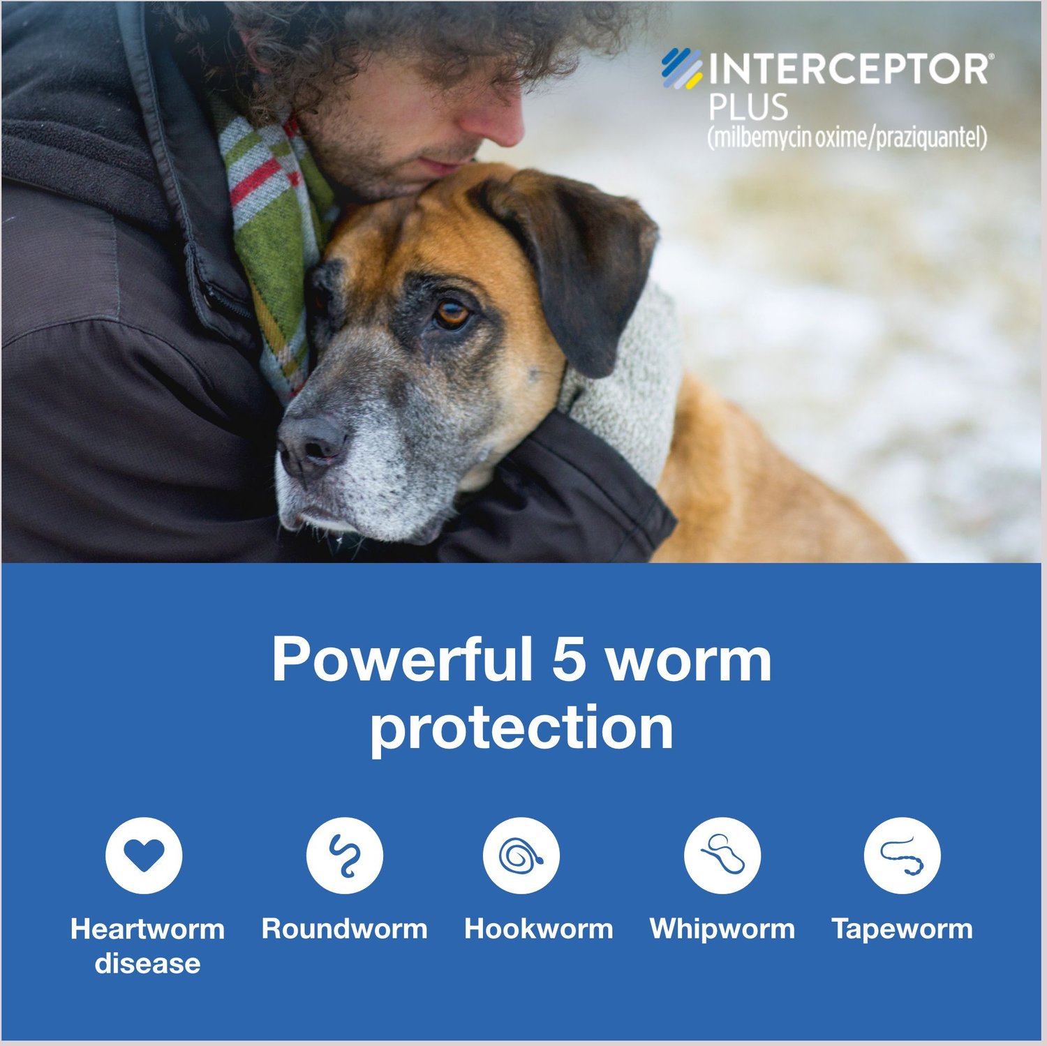 interceptor plus heartworm