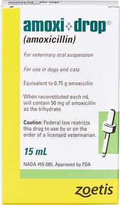 Amoxi-Drop (Amoxicillin) Oral Suspension for Dogs & Cats, slide 1 of 1
