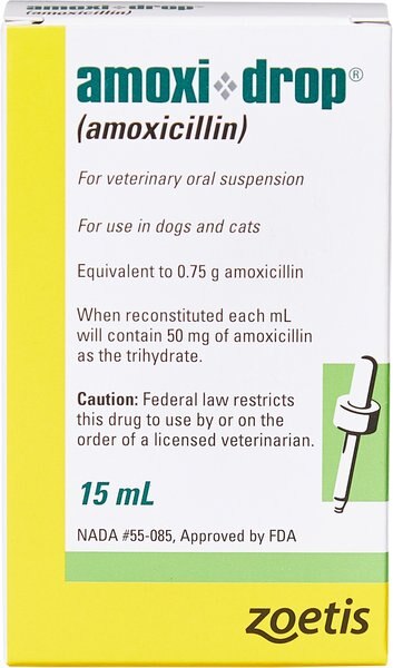 Amoxi-Drop (Amoxicillin) Oral Suspension for Dogs & Cats, 50-mg, 15-mL slide 1 of 6