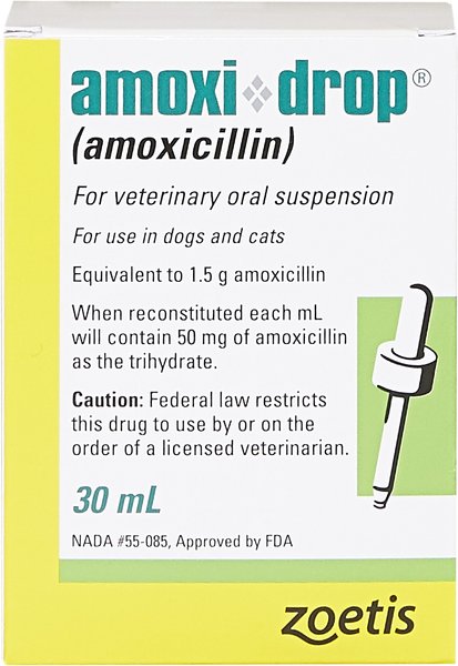 Amoxi-Drop (Amoxicillin) Oral Suspension for Dogs & Cats, 50-mg, 30-mL slide 1 of 6