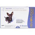 Revolution Topical Solution for Dogs, 5.1-10 lbs, (Purple Box), 6 Doses (6-mos. supply)