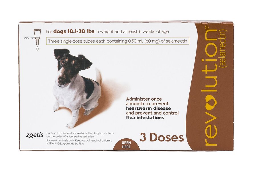 revolution medication for dogs