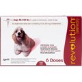 Revolution Topical Solution for Dogs, 20.1-40 lbs, (Red Box), 6 Doses (6-mos. supply)
