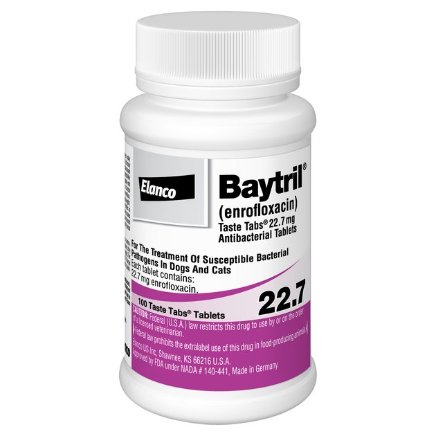 Baytril (Enrofloxacin) Chewable Tablets for Dogs & Cats, 22.7mg, 1