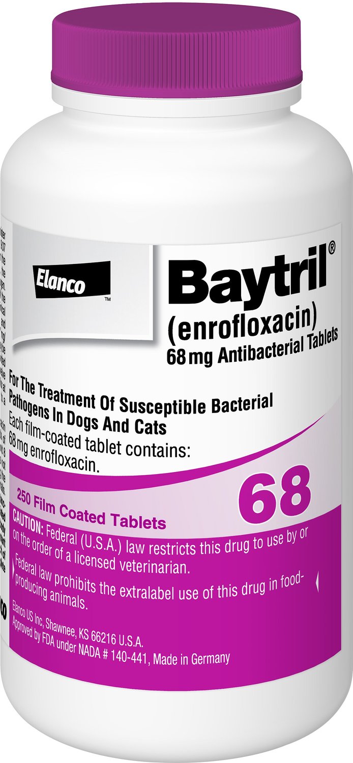 BAYTRIL (Enrofloxacin) Tablets for Dogs & Cats, 68.0mg, 1 tablet