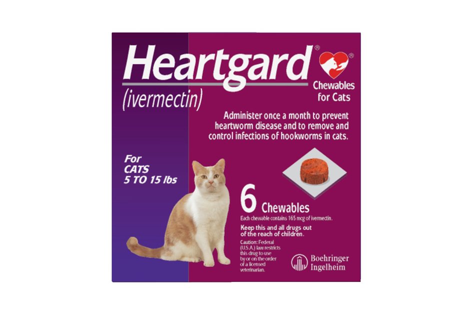 Do Cats Need Heartworm Medicine toxoplasmosis