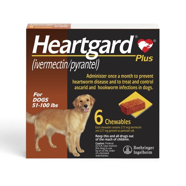 HEARTGARD Plus Chewables for Dogs, 51 