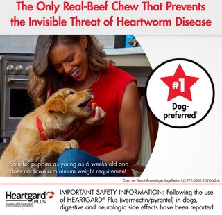 chewy dog heartworm