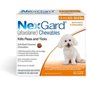 NexGard Chew for Dogs, 4-10 lbs, (Orange Box), 6 Chews (6-mos. supply)