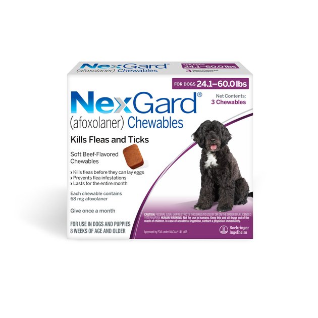 NexGard Chewables for Dogs, 24.160 lbs, 3 treatments (Purple Box