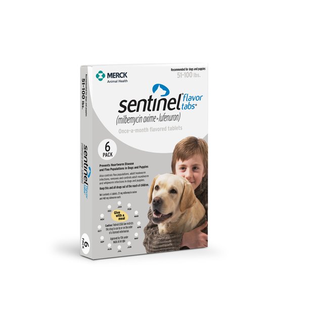 cheap sentinel for dogs