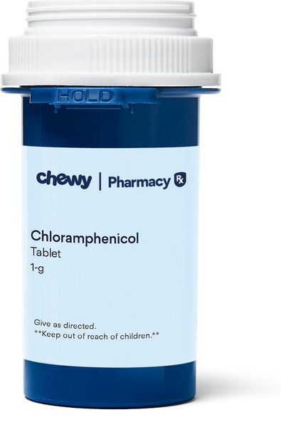 Chloramphenicol (Generic) Tablets for Dogs, 1-g, 1 tablet slide 1 of 4