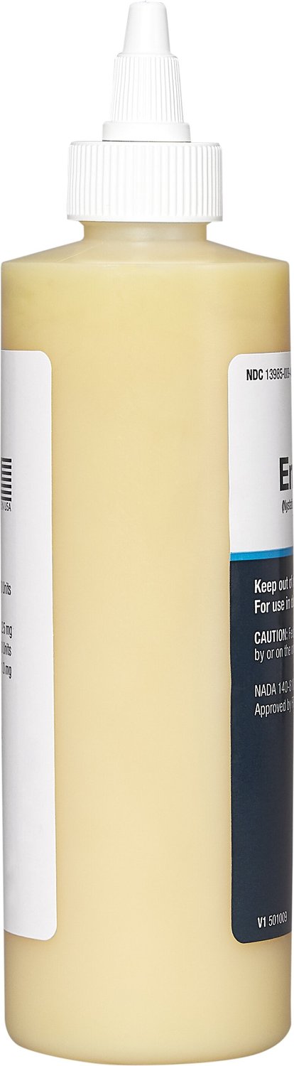 ENTEDERM Topical Ointment for Dogs & Cats, 240-mL - Chewy.com