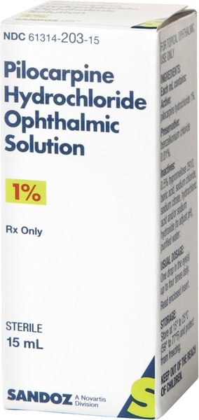 Pilocarpine (Generic) Ophthalmic Solution 1%, 15-mL slide 1 of 5