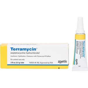 Terramycin Ophthalmic Ointment for Dogs, Cats & Horses 3.5-g (California Only)