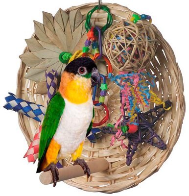 Super Bird Creations Busy Birdie Play Perch Bird Toy, Medium, slide 1 of 1